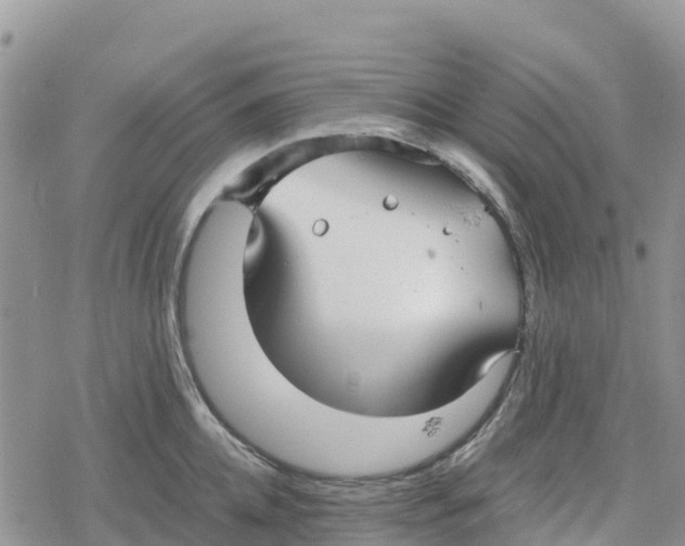 X0000078280952200611251415