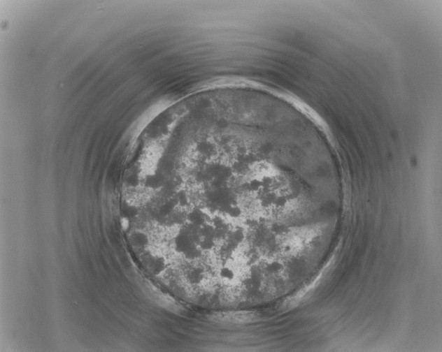 X0000078280953200611251415