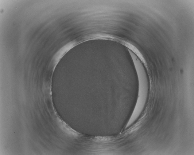 X0000078280954200611251415