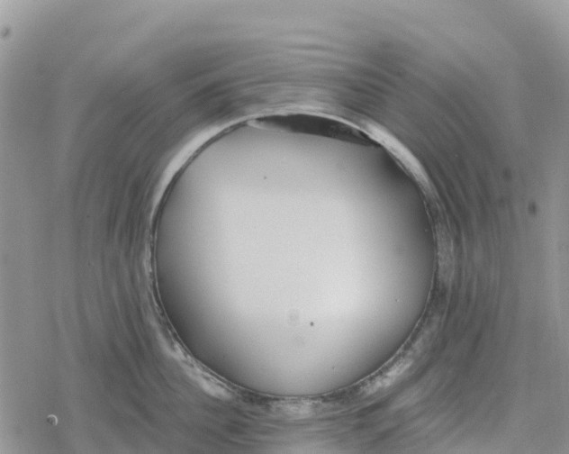 X0000078280956200611251415