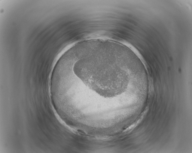 X0000078280957200611251415