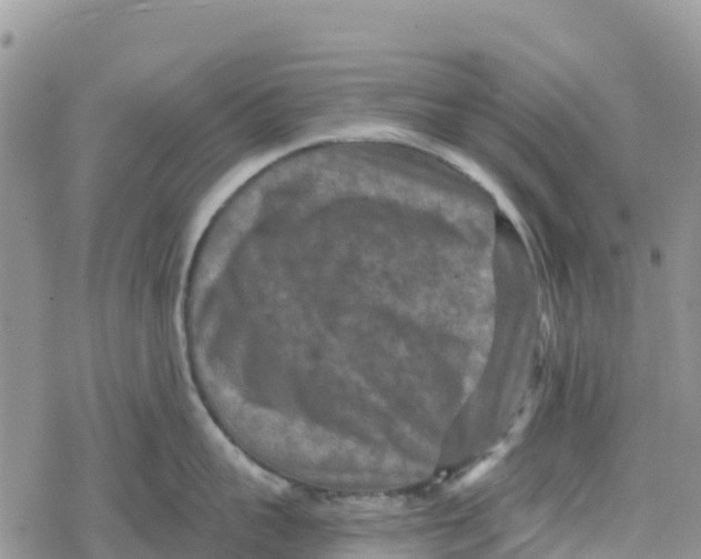 X0000078280959200611251415