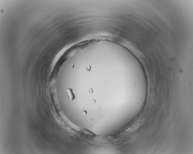 X0000078280960200611251415