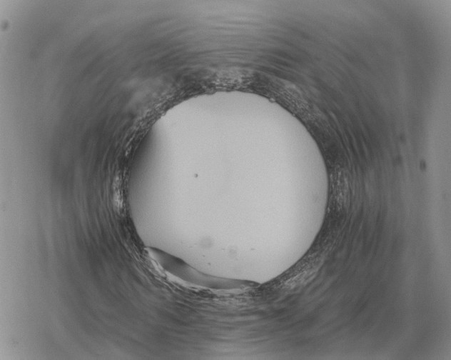 X0000078280962200611251414