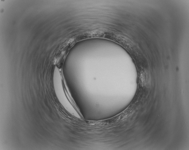 X0000078280963200611251414