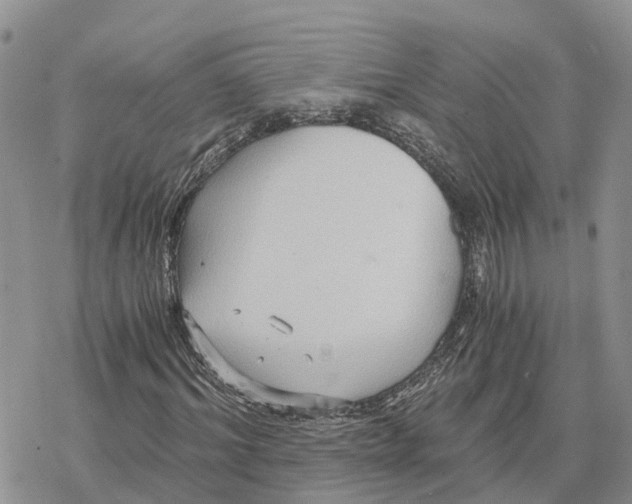 X0000078280964200611251414