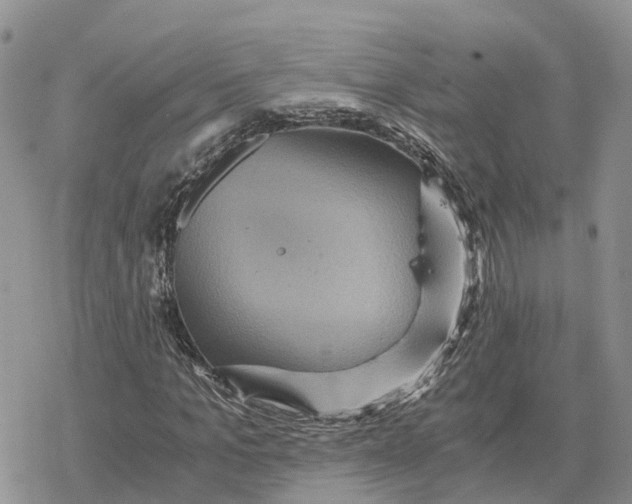 X0000078280965200611251414