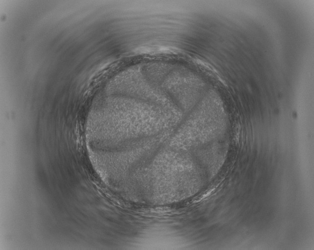 X0000078280966200611251414