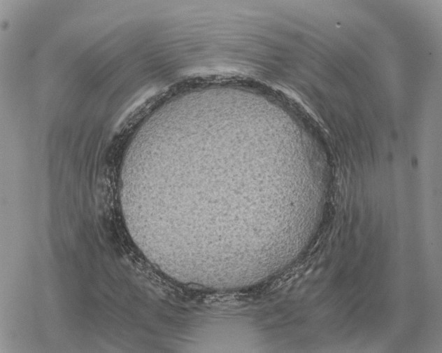 X0000078280967200611251414