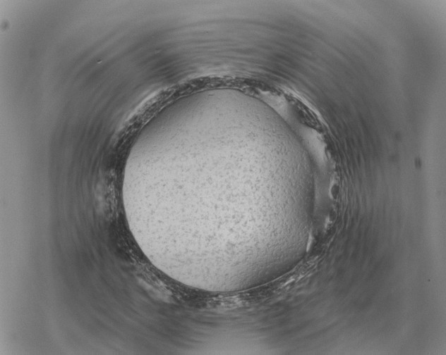 X0000078280968200611251414