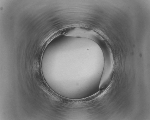 X0000078280969200611251414