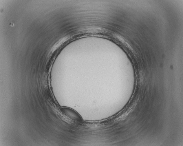 X0000078280970200611251414