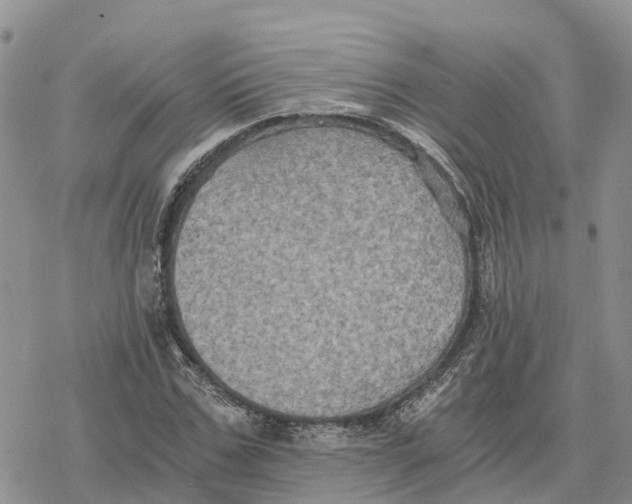 X0000078280971200611251414