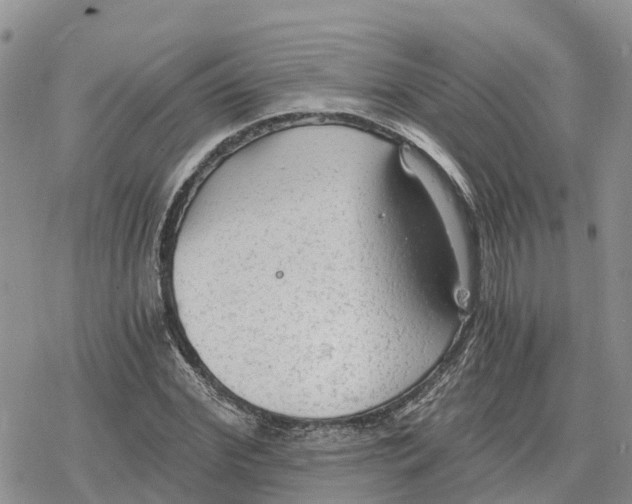 X0000078280972200611251414