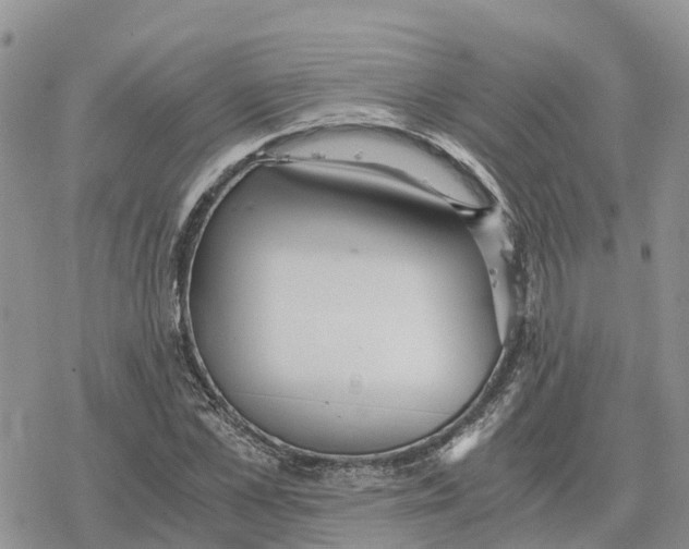 X0000078280973200611251414