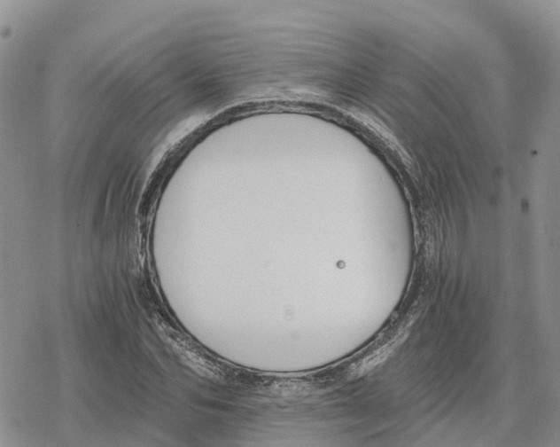 X0000078280974200611251414