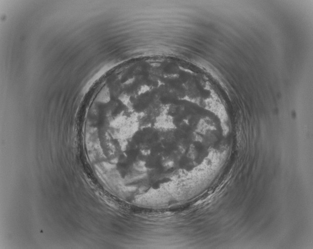 X0000078280975200611251414