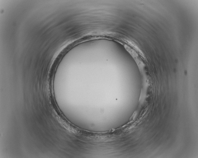 X0000078280976200611251414