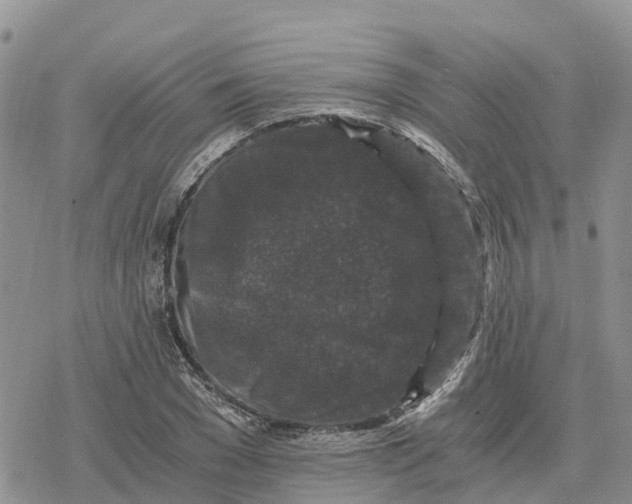 X0000078280977200611251414