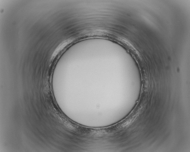 X0000078280978200611251414