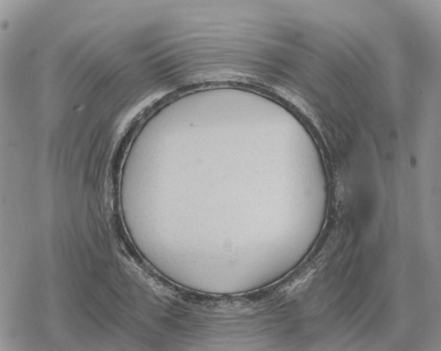 X0000078280979200611251414