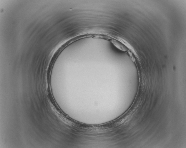 X0000078280980200611251414