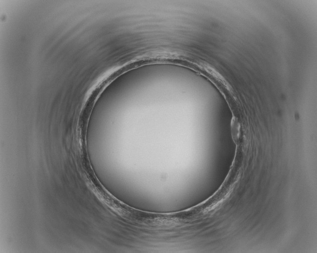 X0000078280981200611251414