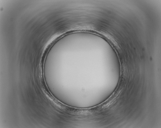 X0000078280982200611251414