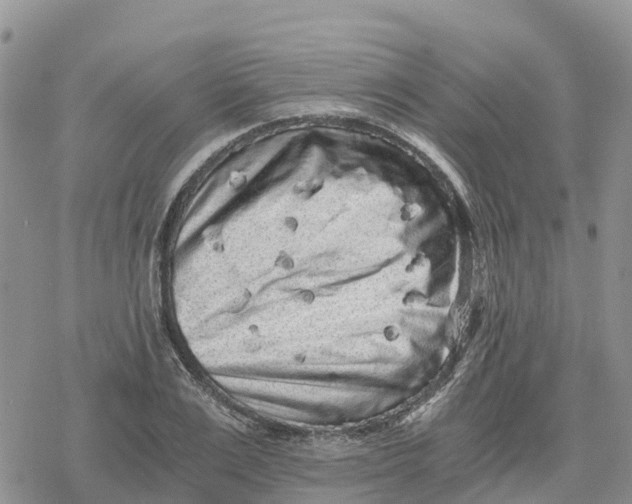 X0000078280983200611251414