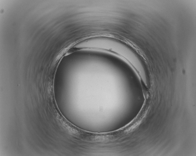 X0000078280985200611251414