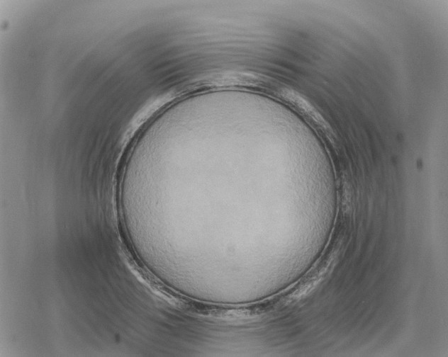 X0000078280986200611251414