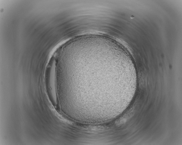 X0000078280987200611251414