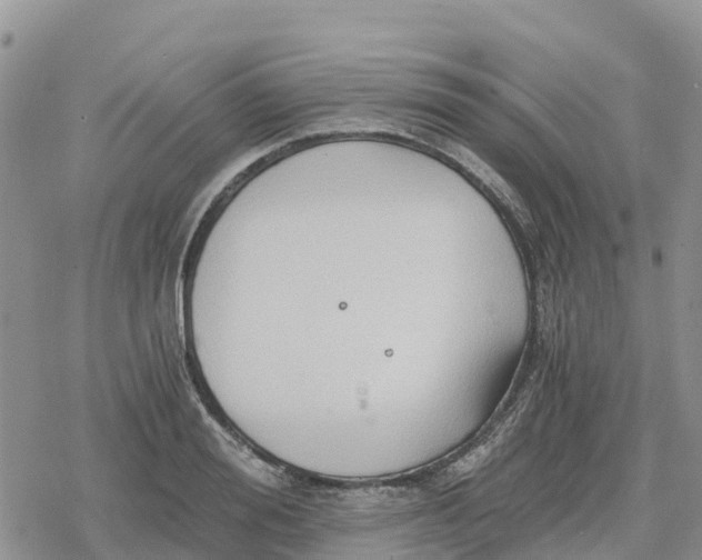 X0000078280988200611251414