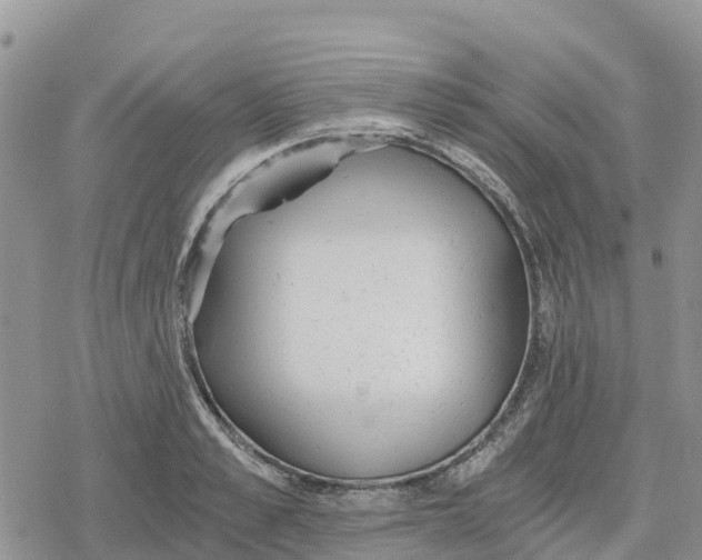 X0000078280989200611251414