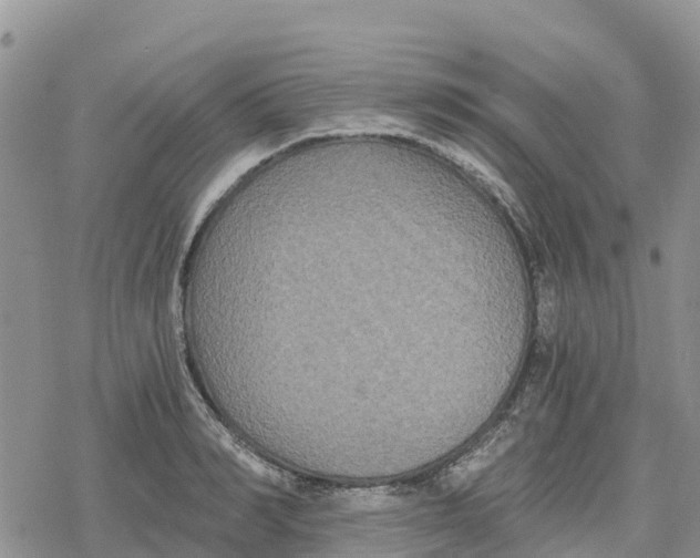 X0000078280990200611251414