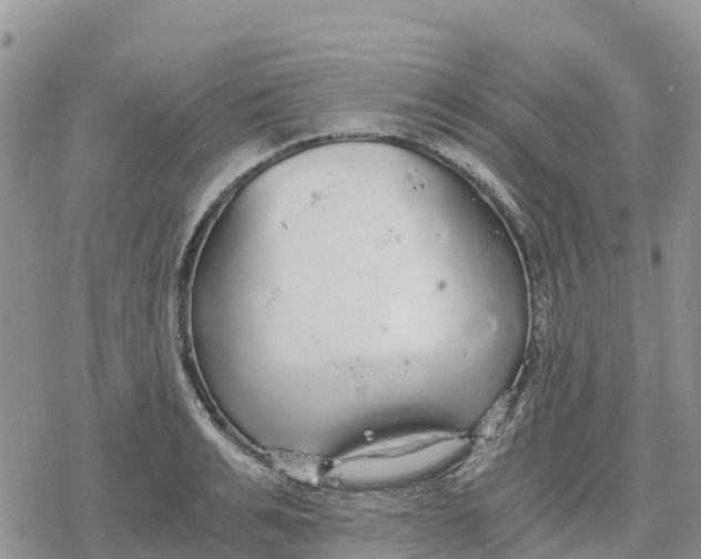 X0000078280991200611251414