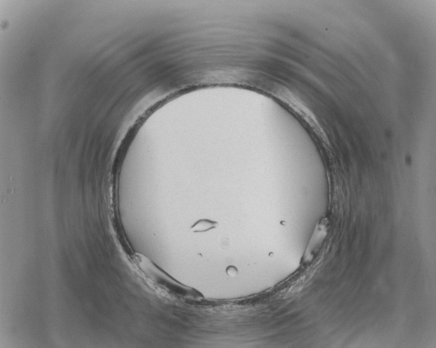 X0000078280992200611251414