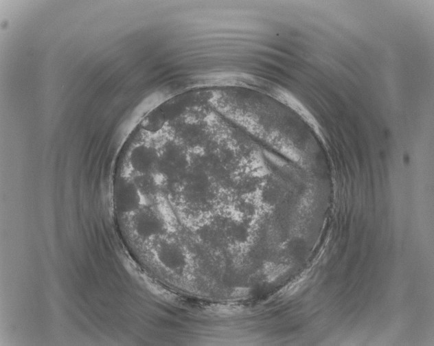 X0000078280994200611251414