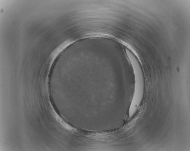 X0000078280995200611251414