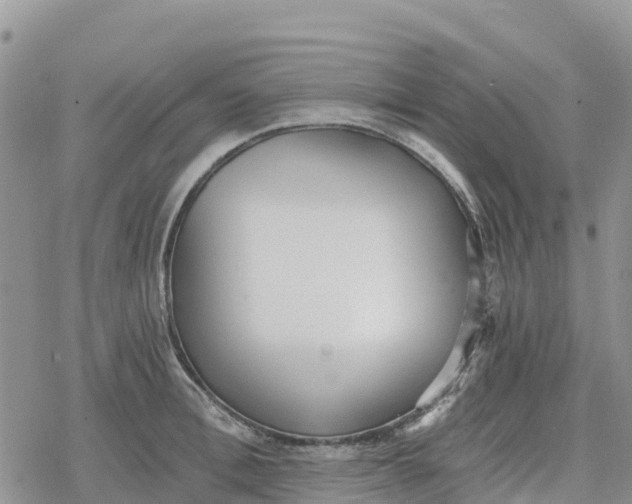 X0000078280996200611251414