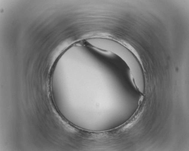 X0000078280997200611251414