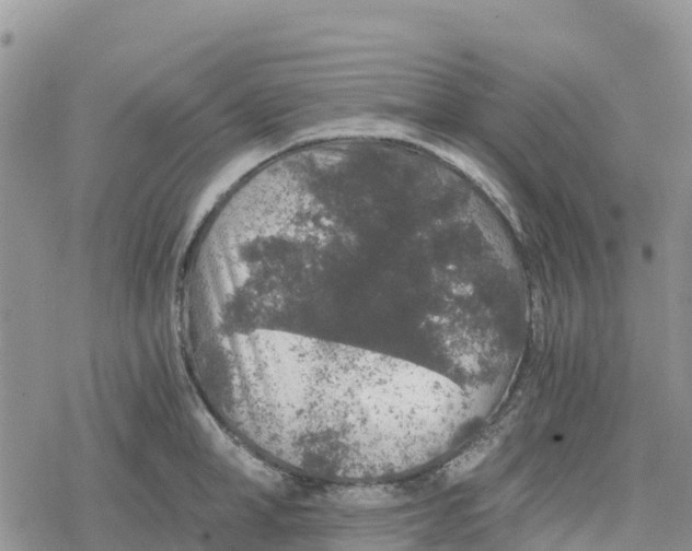 X0000078280998200611251414