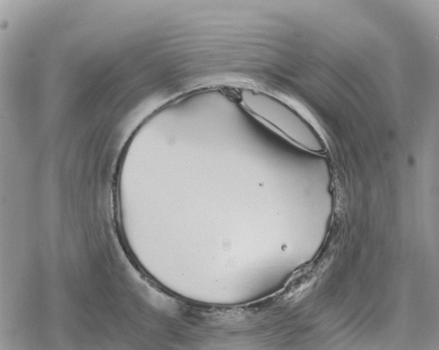 X0000078280999200611251413