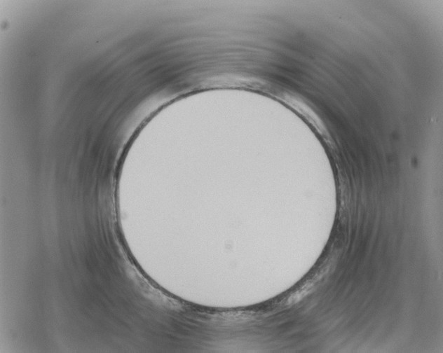 X0000078281000200611251413