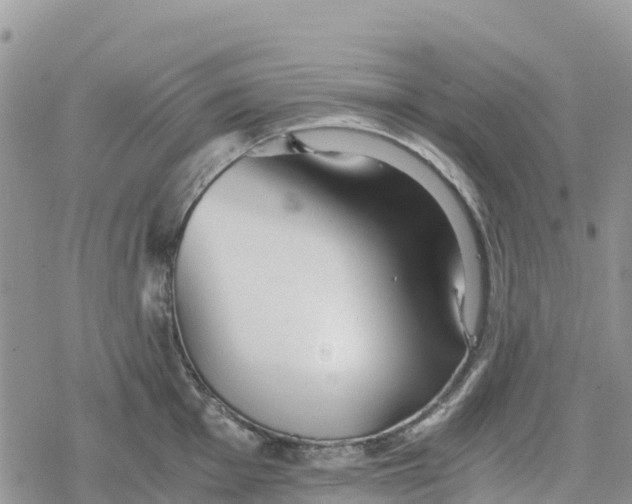 X0000078281001200611251413