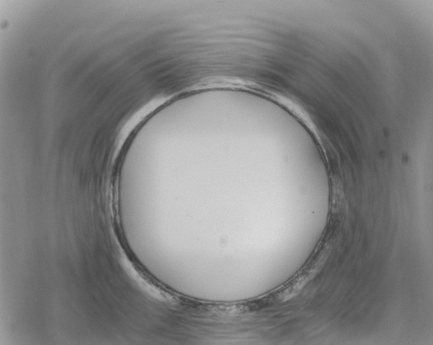 X0000078281003200611251413