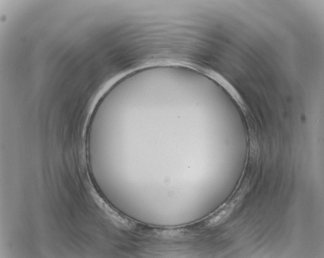 X0000078281004200611251413