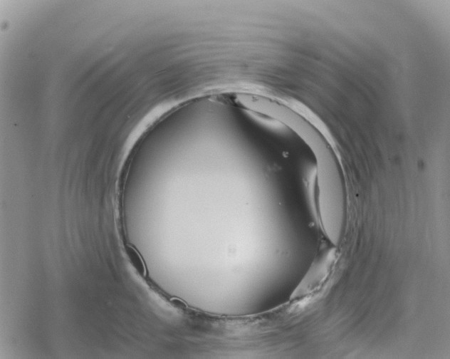 X0000078281005200611251413