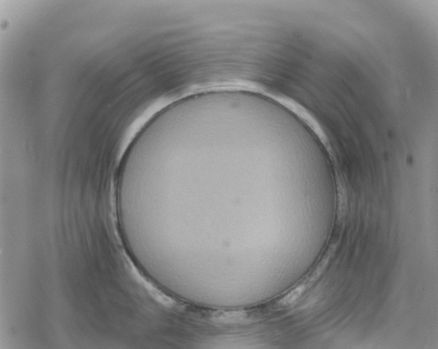 X0000078281006200611251413