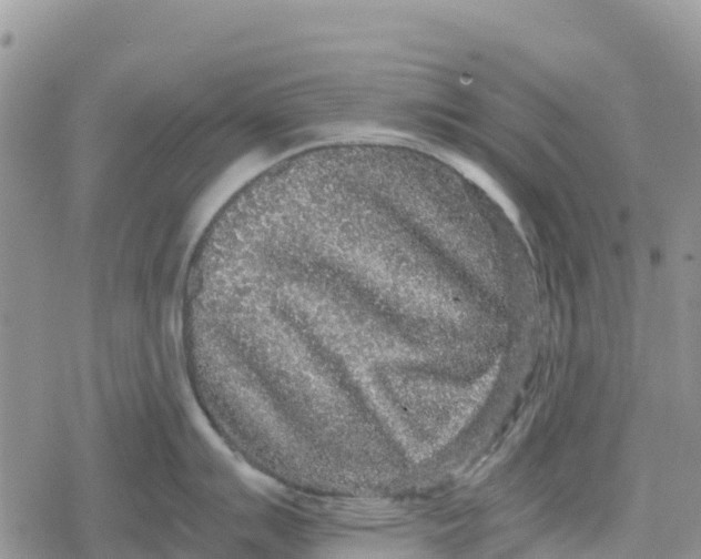 X0000078281007200611251413